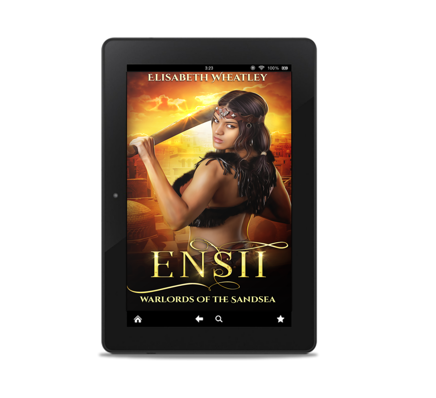 Ensii (EBOOK)
