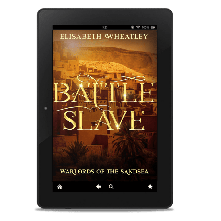 Battleslave (EBOOK)