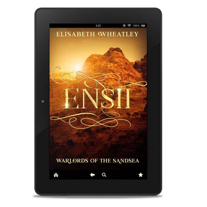 Ensii (EBOOK)